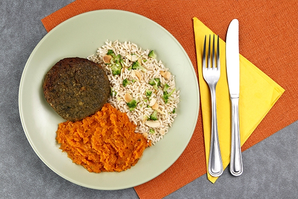 Comida congelada saborosa