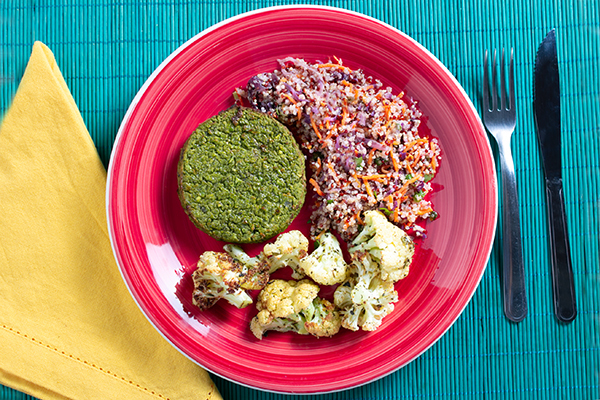 Comida congelada saborosa